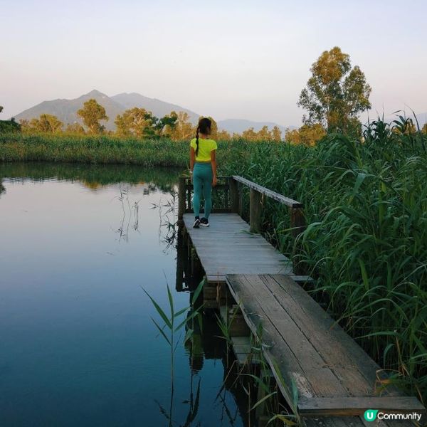 香港簡易跑步路線 13 – 元朗南生圍