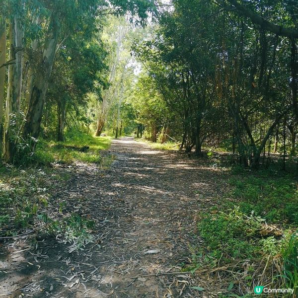 香港簡易跑步路線 13 – 元朗南生圍