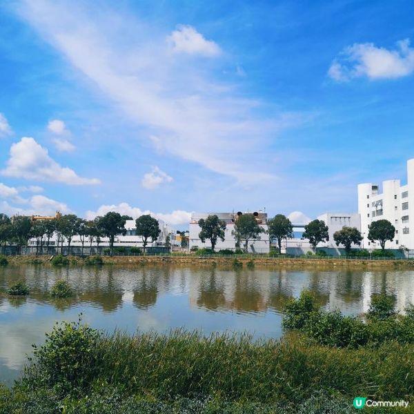 香港簡易跑步路線 13 – 元朗南生圍