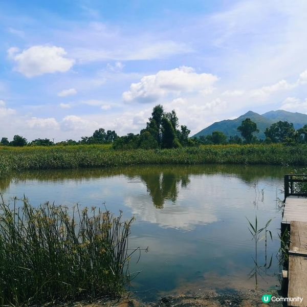 香港簡易跑步路線 13 – 元朗南生圍