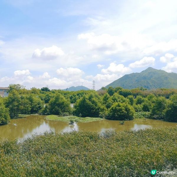 香港簡易跑步路線 13 – 元朗南生圍