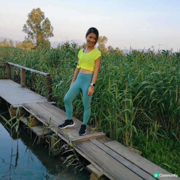 香港簡易跑步路線 13 – 元朗南生圍