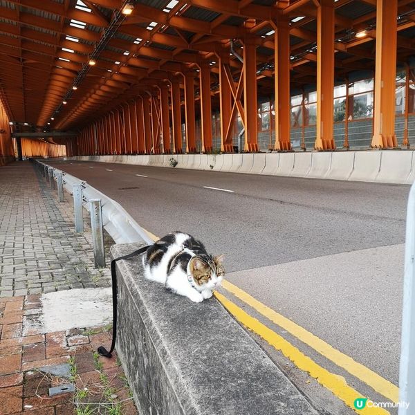 香港簡易跑步路線 11 – 荃灣海濱公園至汀九 (來回)