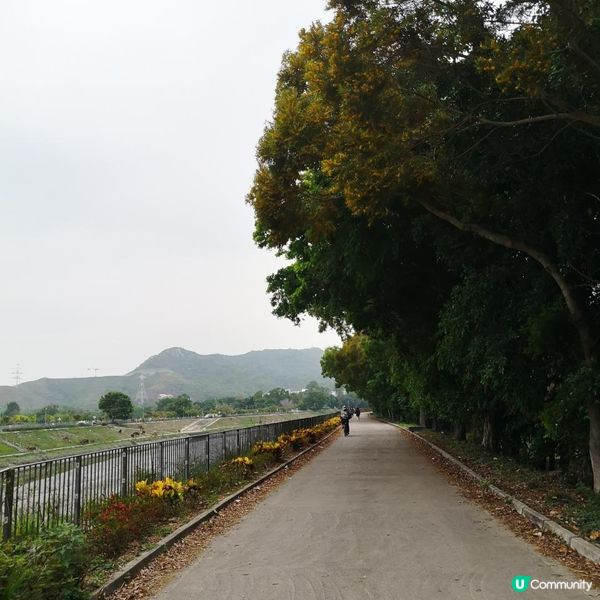 香港簡易跑步路線 6 – 上水梧桐河畔