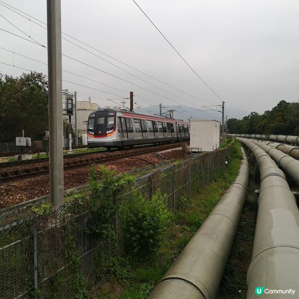 香港簡易跑步路線 6 – 上水梧桐河畔