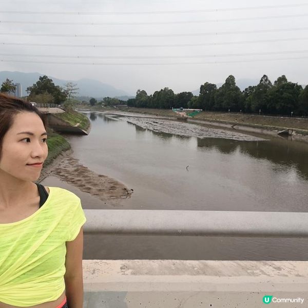 香港簡易跑步路線 6 – 上水梧桐河畔