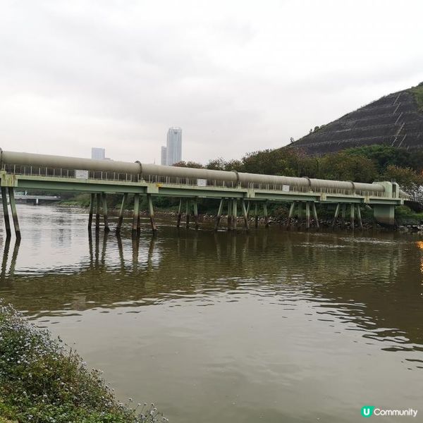 香港簡易跑步路線 6 – 上水梧桐河畔