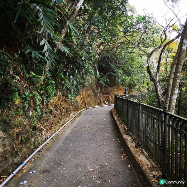 香港簡易跑步路線 1 – 盧吉道一圈