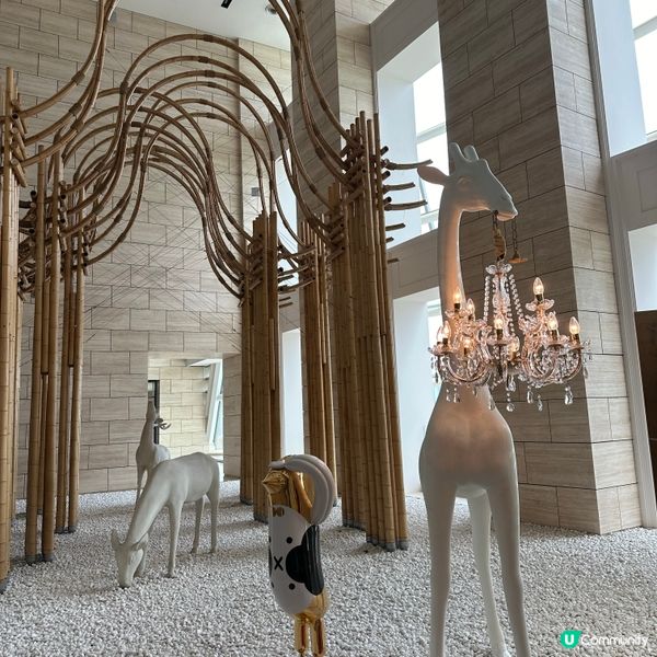 Sofitel 沒想到在順德可以住上如此國際化的酒店