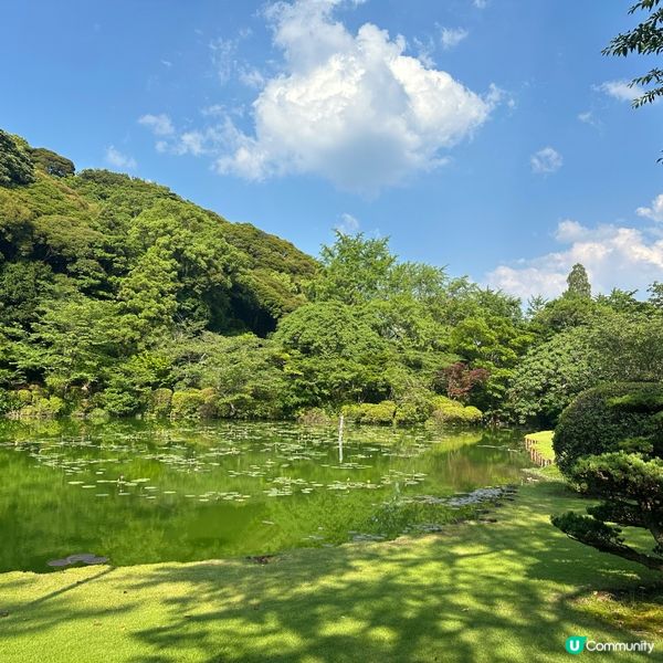 日本福岡自由行•探索別府海地獄的奇幻景致