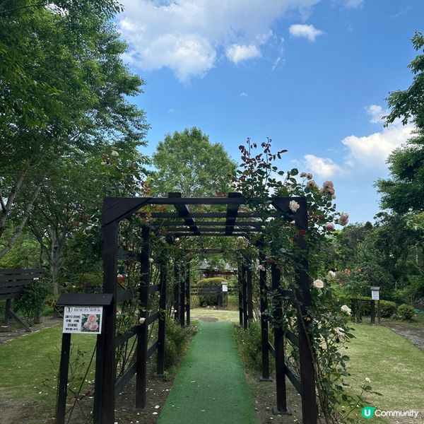 日本福岡自由行•探索別府海地獄的奇幻景致