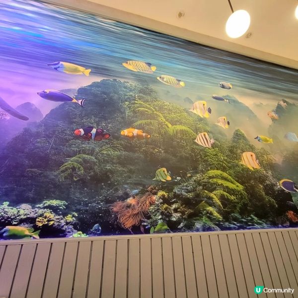 黃大仙靚裝修＆高CP值新加坡菜餐廳
