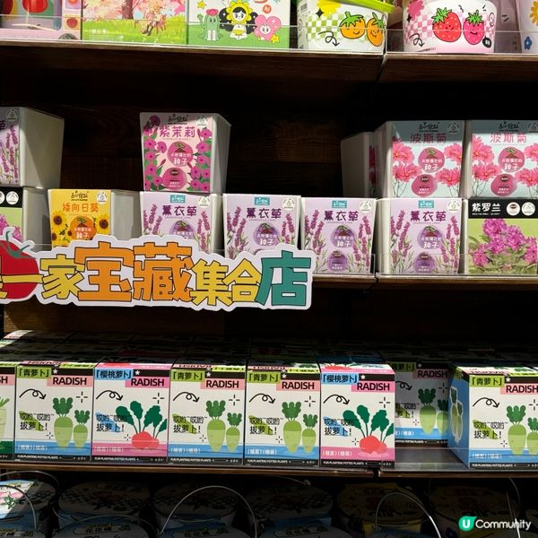 深圳寶藏店！🍅蕃茄口袋文創，文青必打卡！🤩