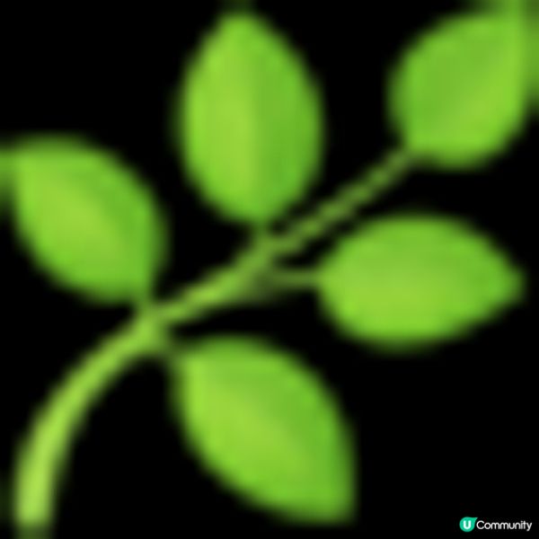 【閨密派對｜荔枝角木系小清新Party Room 🪵．免費森系生日佈置！發光月亮花藝牆 🌙、120吋4K 大屏幕、4支無線咪 🎤】⁣