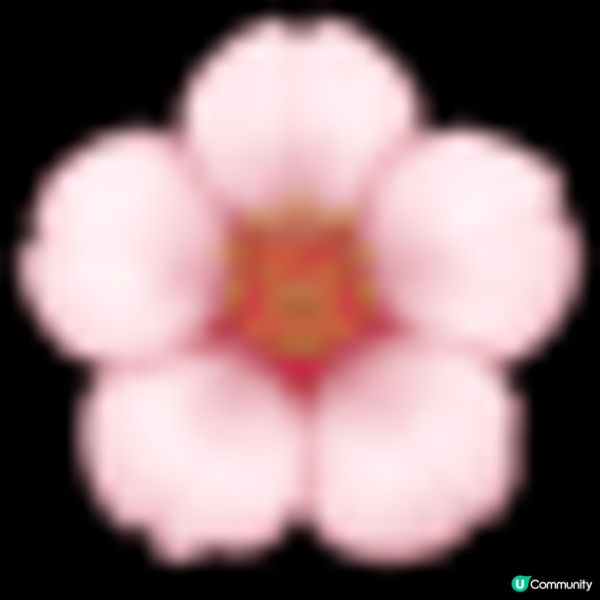 【閨密派對｜荔枝角木系小清新Party Room 🪵．免費森系生日佈置！發光月亮花藝牆 🌙、120吋4K 大屏幕、4支無線咪 🎤】⁣