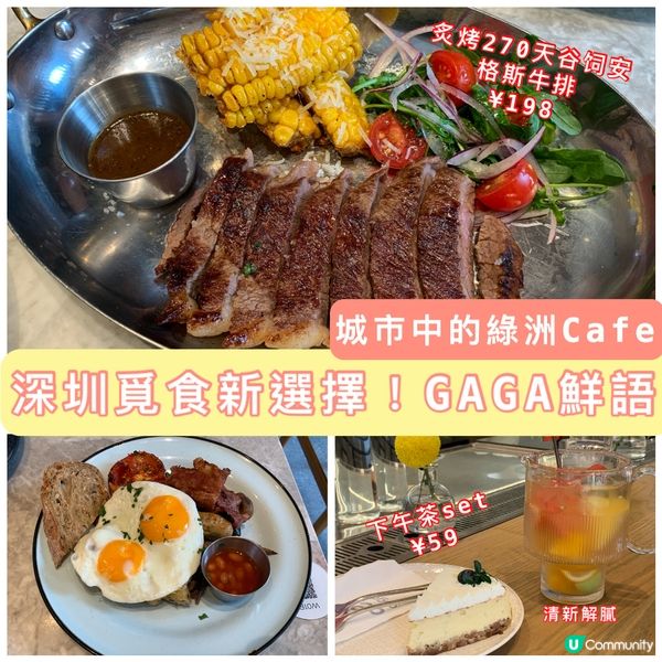 深圳覓食新選擇！GAGA鮮語輕食茶飲，水果茶清新解膩