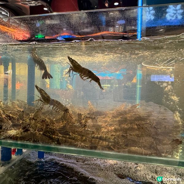 福田領展中心城漁舶滙，$298任食蒸氣海鮮+榴連放題