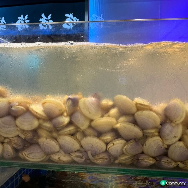 福田領展中心城漁舶滙，$298任食蒸氣海鮮+榴連放題