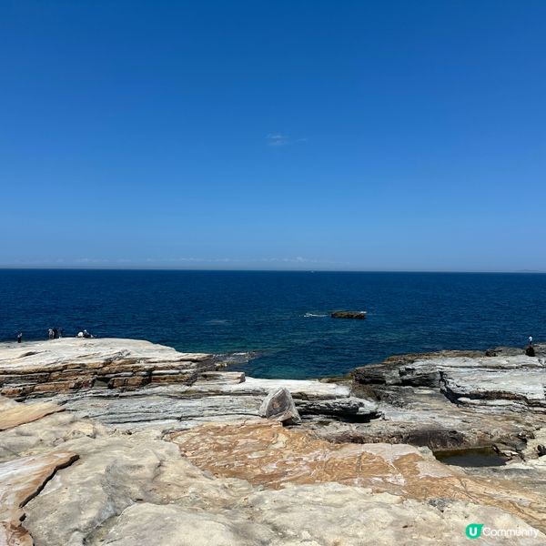 日本和歌山白濱自由行•探索千疊敷的壯麗海岸景觀