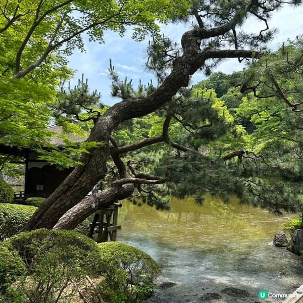 日本和歌山自由行•探訪歷史悠久的和歌山城