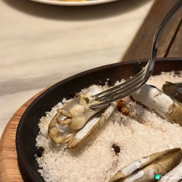 時令肥美蟶子．季節限定菜式