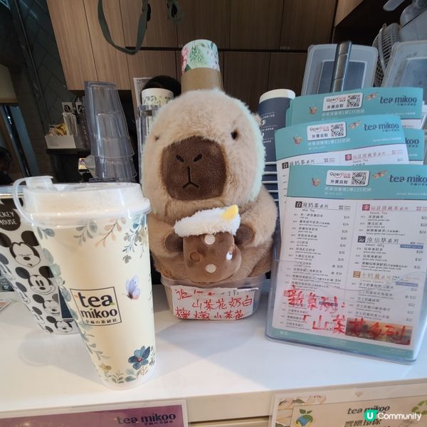 珍珠山茶花鮮奶