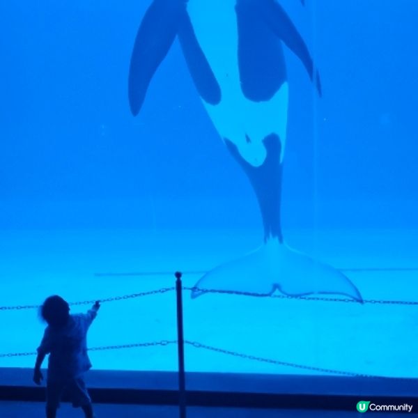 1)珠海長隆宇宙飛船，2）西貢三星灣沙灘，3）西貢海下灣潛水...