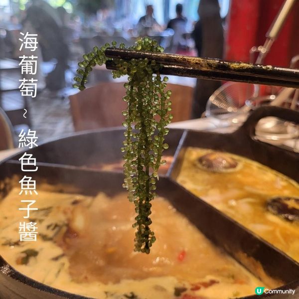 深圳美食 ︳泰式海鮮火鍋