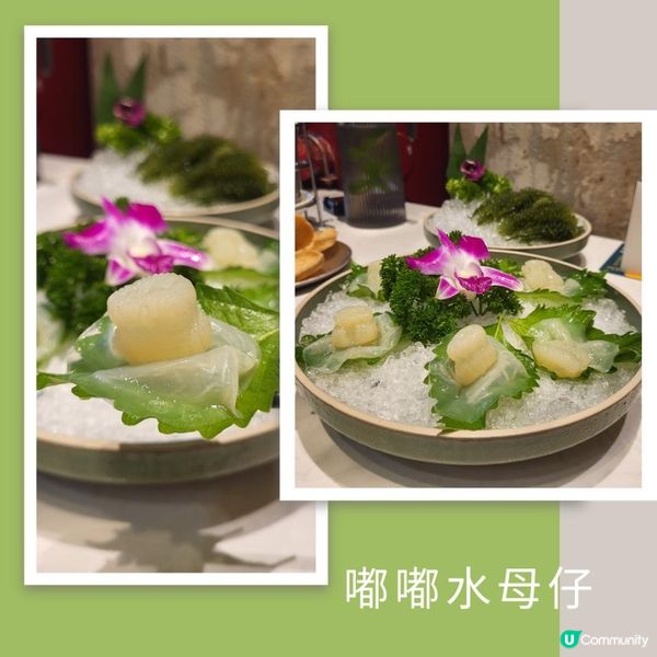 深圳美食 ︳泰式海鮮火鍋