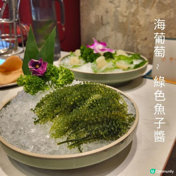 深圳美食 ︳泰式海鮮火鍋