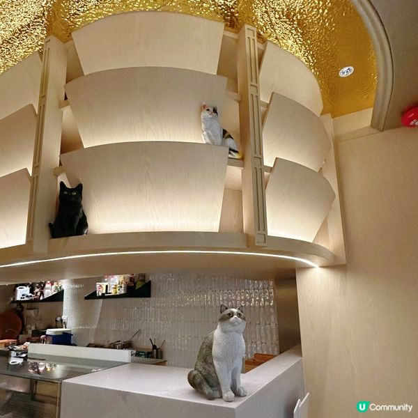 晚市套餐超豐富🥰