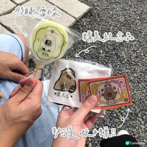 台北墾丁自由行——水豚聖地【鹿儿島】