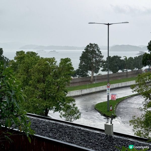 雨中浪漫銀婚紀念