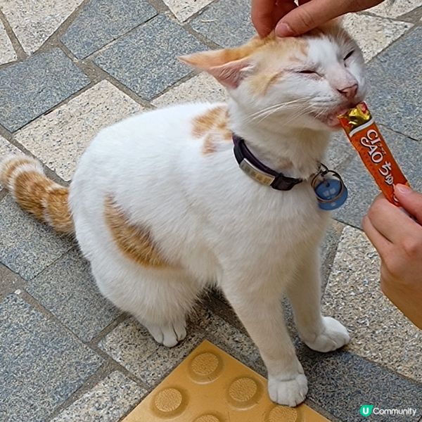 你使唔使咁冧呀？！