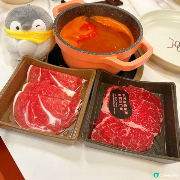 一人一鍋任食邊爐好正
