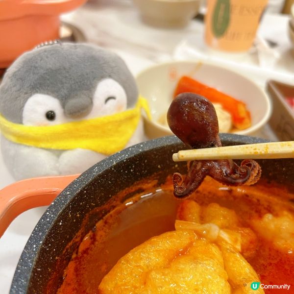 一人一鍋任食邊爐好正