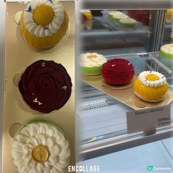 Tong Wong~精緻Flora collection