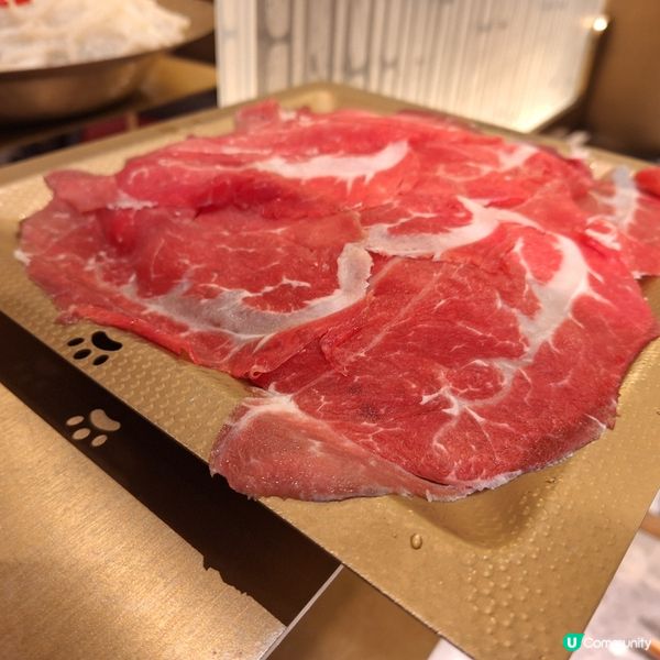 熊貓主題打邊爐 （一人都唔怕悶）