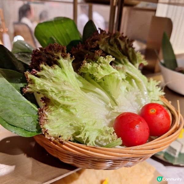 熊貓主題打邊爐 （一人都唔怕悶）