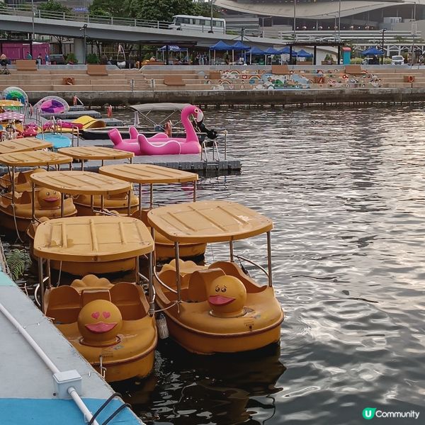 ☀️暑假去邊玩？維港水上單車🚲，親子樂趣無窮！