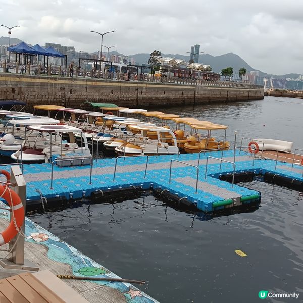 ☀️暑假去邊玩？維港水上單車🚲，親子樂趣無窮！