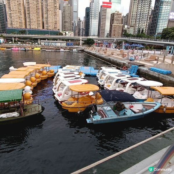 ☀️暑假去邊玩？維港水上單車🚲，親子樂趣無窮！