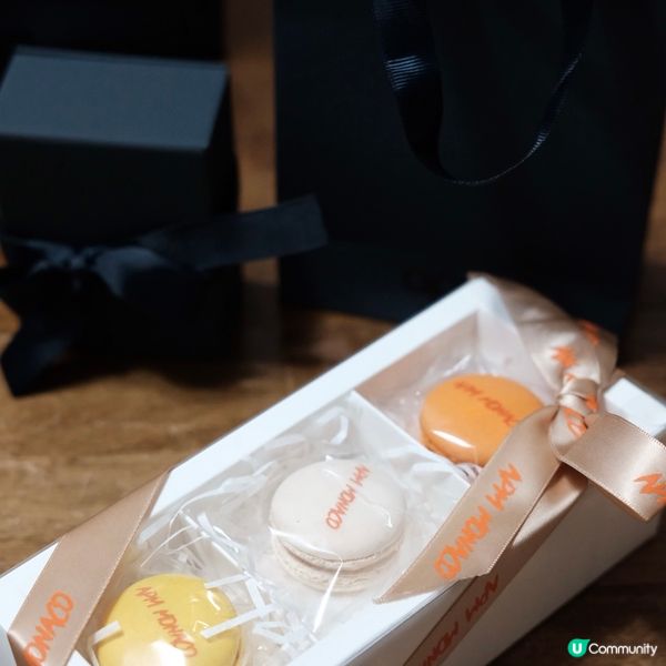 夏日魅力爆燈🔥 APM MONACO最新系列登場！