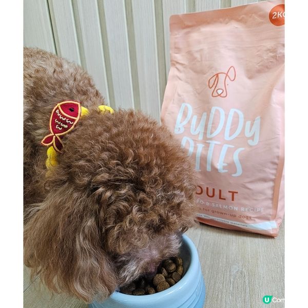 🐶 挑食狗嘅福音！終於搵到啱食嘅狗糧！