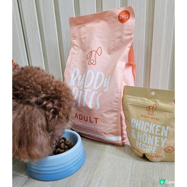 🐶 挑食狗嘅福音！終於搵到啱食嘅狗糧！