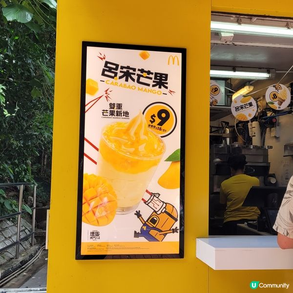 m記轉新地款了-期間限定雙重呂宋芒新地