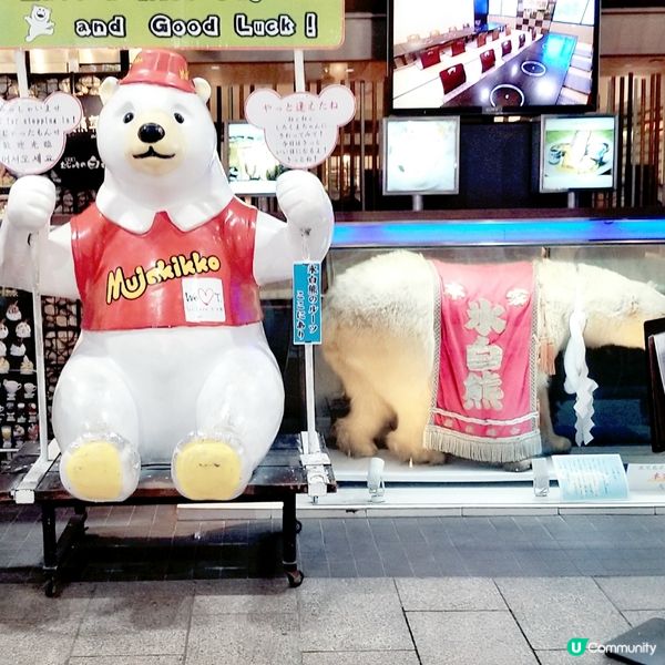 鹿兒島必食名產「白熊刨冰」🍨