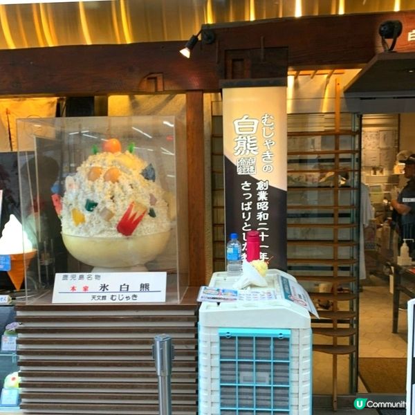 鹿兒島必食名產「白熊刨冰」🍨