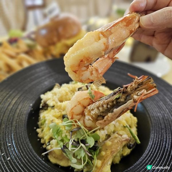 貓咪活潑親人 食物質素高