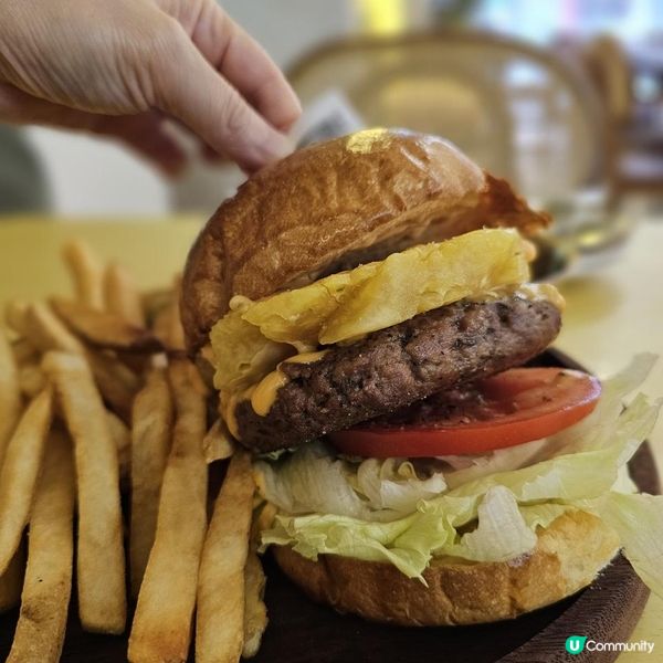 貓咪活潑親人 食物質素高